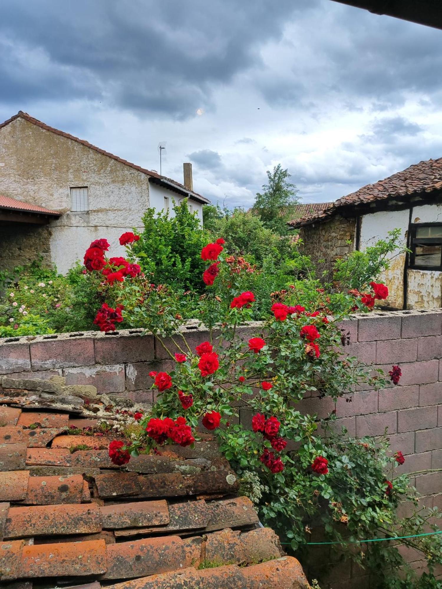 Affittacamere Casa Simon Cervera De Pisuerga Esterno foto